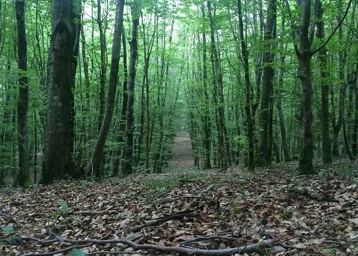 Walnut House Vakantiehuis Viré