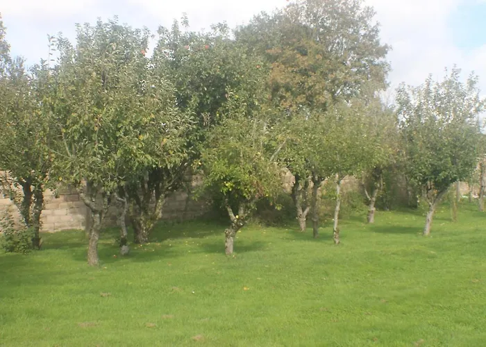 Vakantiehuis Walnut House *